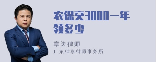 农保交3000一年领多少