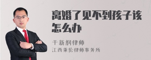 离婚了见不到孩子该怎么办