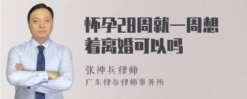 怀孕28周就一周想着离婚可以吗