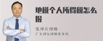 地税个人所得税怎么报