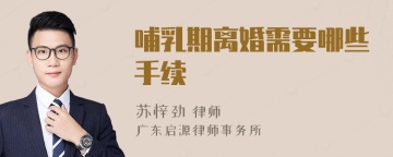 哺乳期离婚需要哪些手续