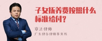 子女抚养费按照什么标准给付？