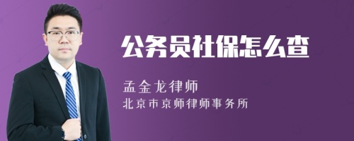 公务员社保怎么查