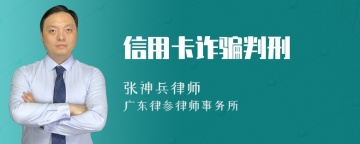 信用卡诈骗判刑