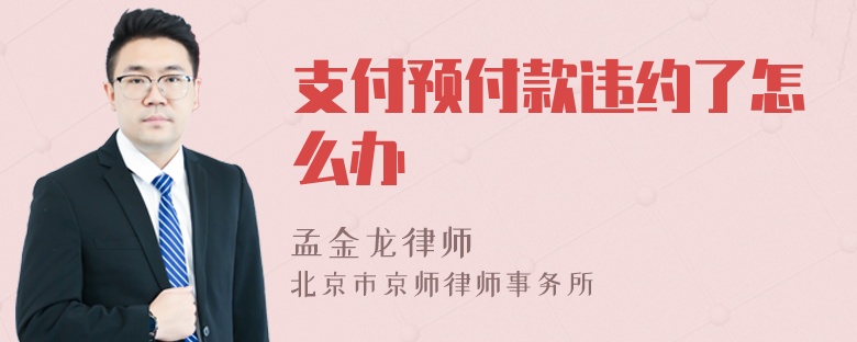 支付预付款违约了怎么办