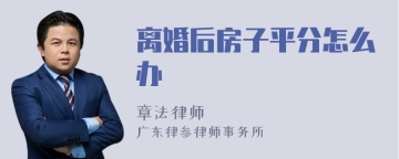 离婚后房子平分怎么办