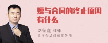 赠与合同的终止原因有什么