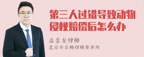 第三人过错导致动物侵权赔偿后怎么办