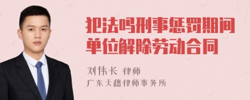 犯法吗刑事惩罚期间单位解除劳动合同