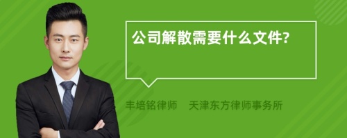 公司解散需要什么文件?