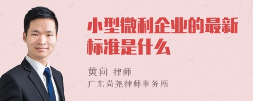 小型微利企业的最新标准是什么