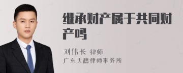 继承财产属于共同财产吗