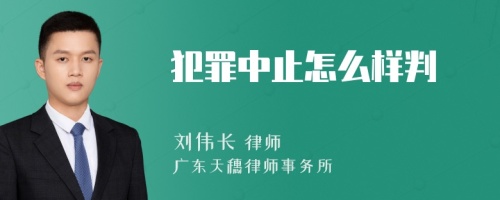 犯罪中止怎么样判