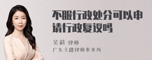 不服行政处分可以申请行政复议吗