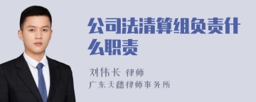 公司法清算组负责什么职责