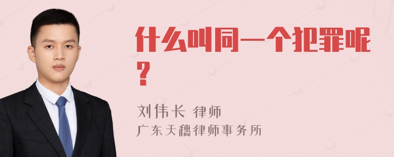 什么叫同一个犯罪呢？