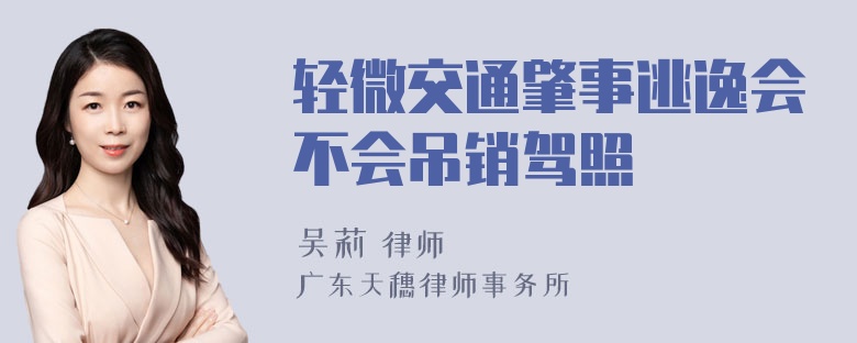 轻微交通肇事逃逸会不会吊销驾照