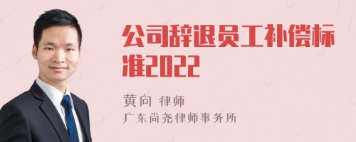 公司辞退员工补偿标准2023