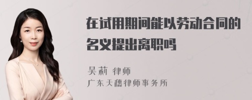 在试用期间能以劳动合同的名义提出离职吗