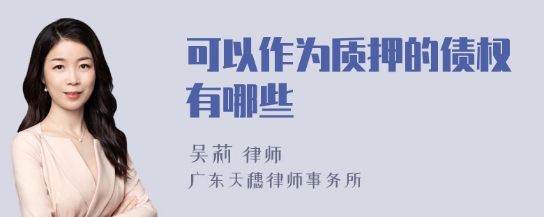 可以作为质押的债权有哪些