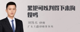 累犯可以判得下来拘役吗