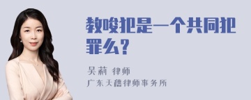 教唆犯是一个共同犯罪么？