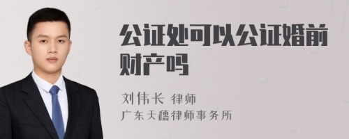 公证处可以公证婚前财产吗