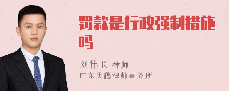 罚款是行政强制措施吗