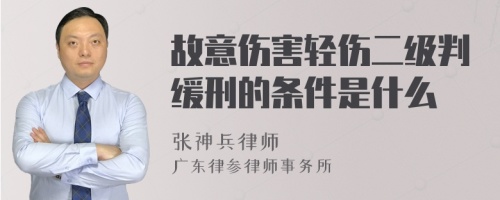 故意伤害轻伤二级判缓刑的条件是什么