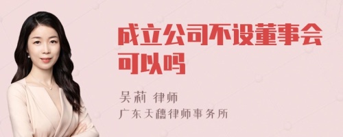 成立公司不设董事会可以吗