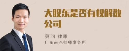 大股东是否有权解散公司