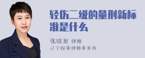 轻伤二级的量刑新标准是什么