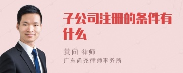 子公司注册的条件有什么