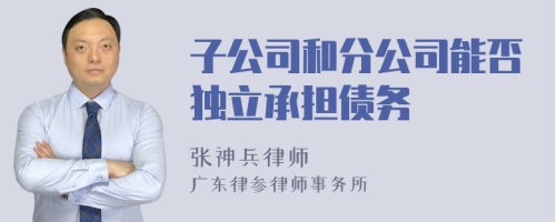 子公司和分公司能否独立承担债务