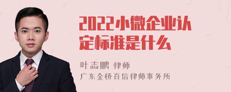 2022小微企业认定标准是什么