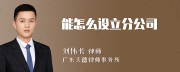 能怎么设立分公司