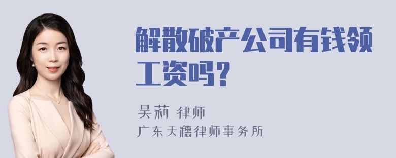 解散破产公司有钱领工资吗？