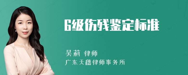 6级伤残鉴定标准