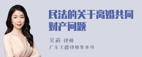 民法的关于离婚共同财产问题