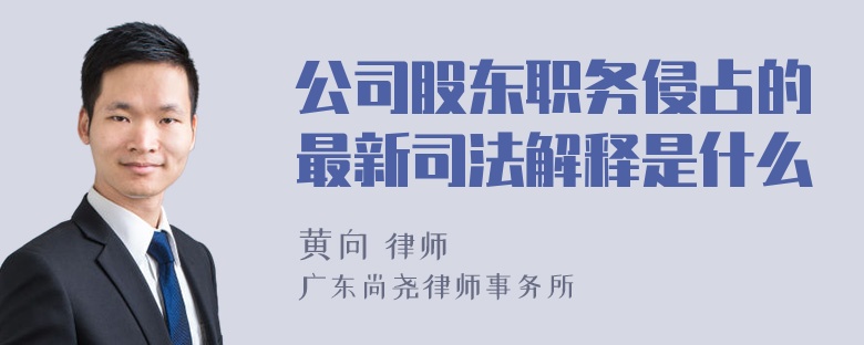 公司股东职务侵占的最新司法解释是什么