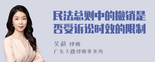 民法总则中的撤销是否受诉讼时效的限制