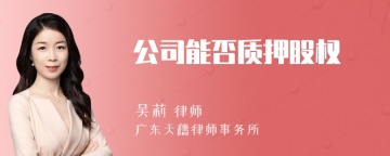 公司能否质押股权