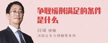 争取缓刑满足的条件是什么