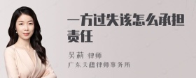 一方过失该怎么承担责任