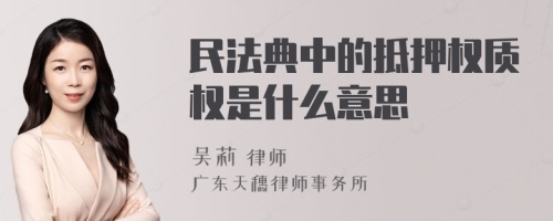 民法典中的抵押权质权是什么意思