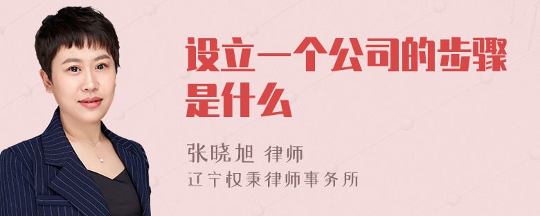 设立一个公司的步骤是什么