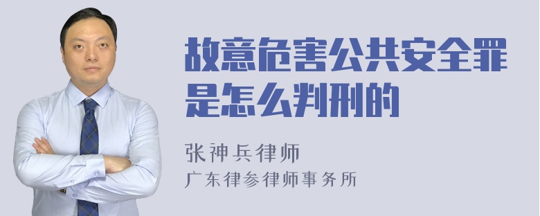 故意危害公共安全罪是怎么判刑的