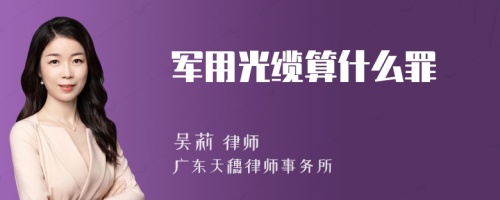 军用光缆算什么罪