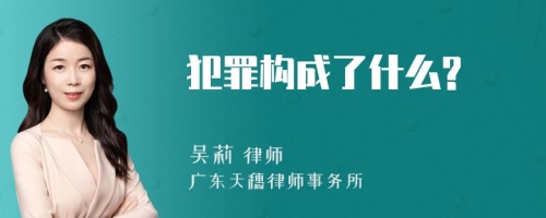 犯罪构成了什么?