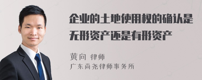 企业的土地使用权的确认是无形资产还是有形资产